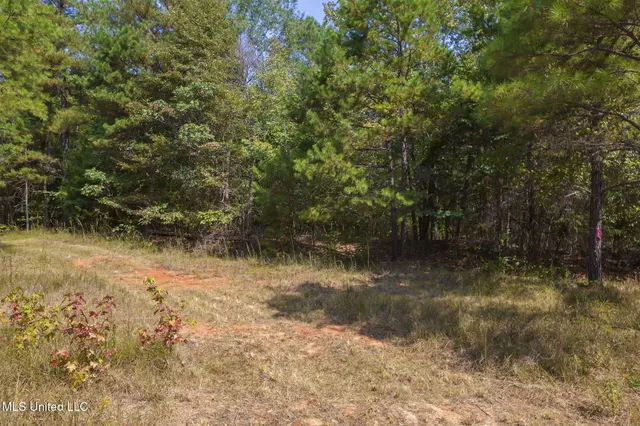 $850,000 | 875 McCravy Road, Hickory Flat, MS 38633