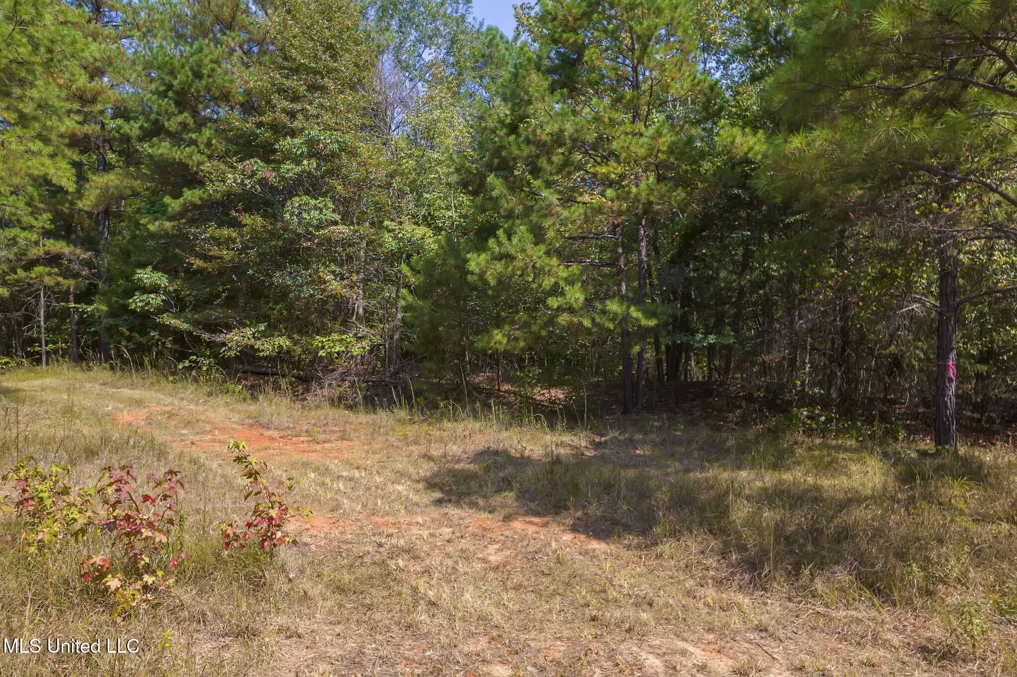 875 McCravy Road Hickory Flat, MS 38633 - Photo 91 of 113 Completed-47 (2)