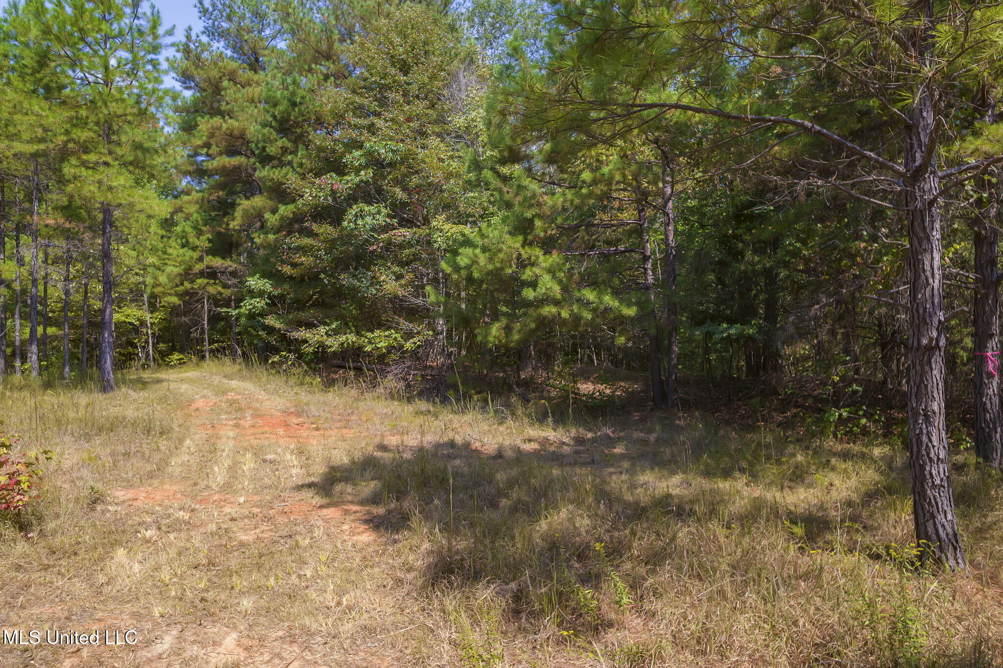 875 McCravy Road Hickory Flat, MS 38633 - Photo 92 of 113 Completed-48 (2)