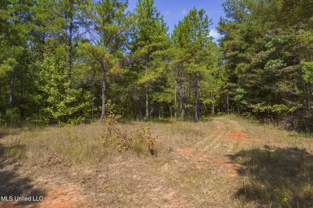 $850,000 | 875 McCravy Road, Hickory Flat, MS 38633