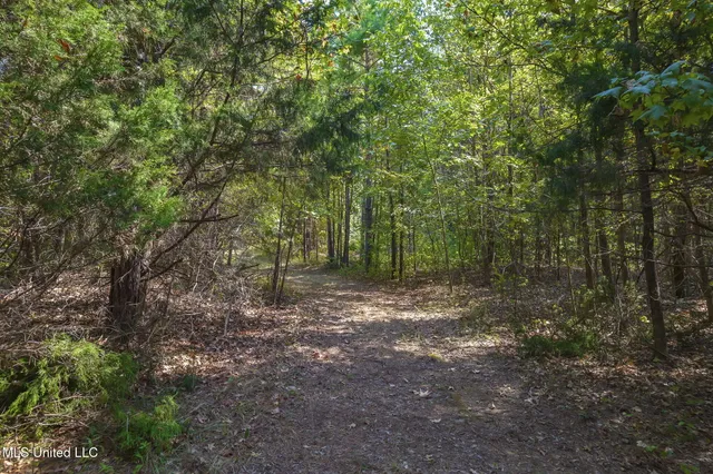 $850,000 | 875 McCravy Road, Hickory Flat, MS 38633