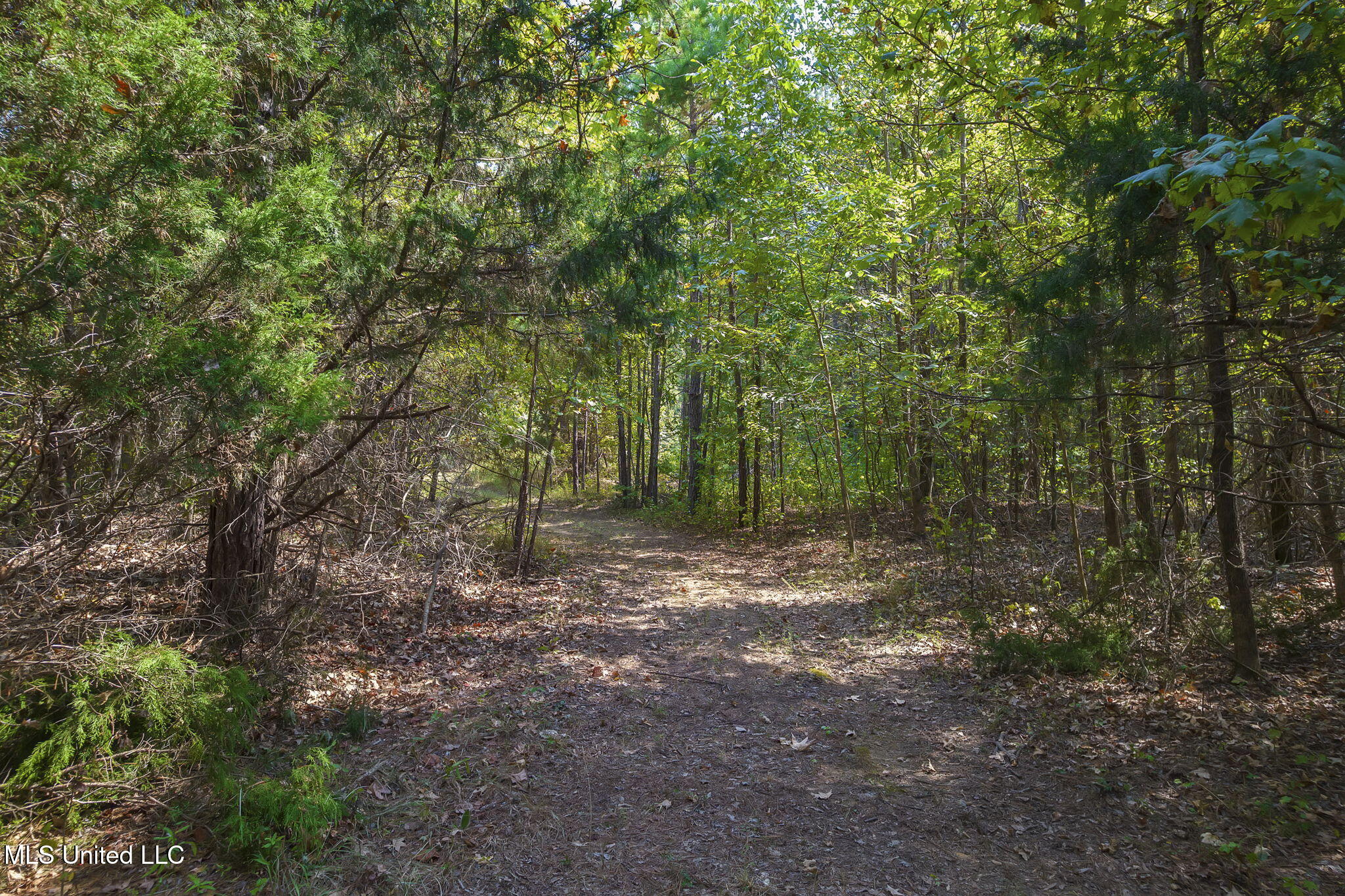875 McCravy Road Hickory Flat, MS 38633 - Photo 96 of 113 Completed-50 (2)