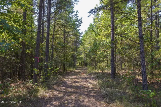 $850,000 | 875 McCravy Road, Hickory Flat, MS 38633