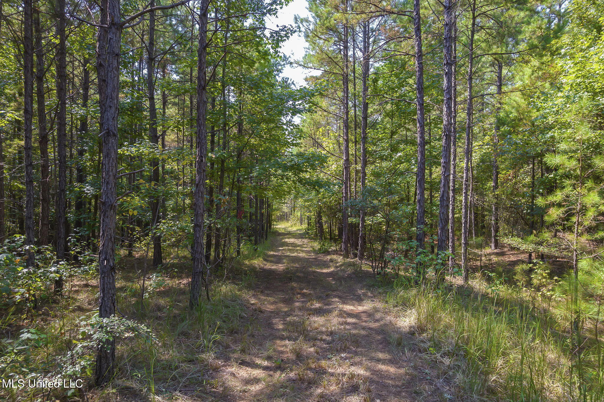 875 McCravy Road Hickory Flat, MS 38633 - Photo 98 of 113 Completed-52 (2)