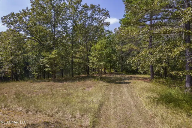 $850,000 | 875 McCravy Road, Hickory Flat, MS 38633