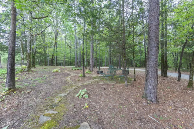 $850,000 | 875 McCravy Road, Hickory Flat, MS 38633