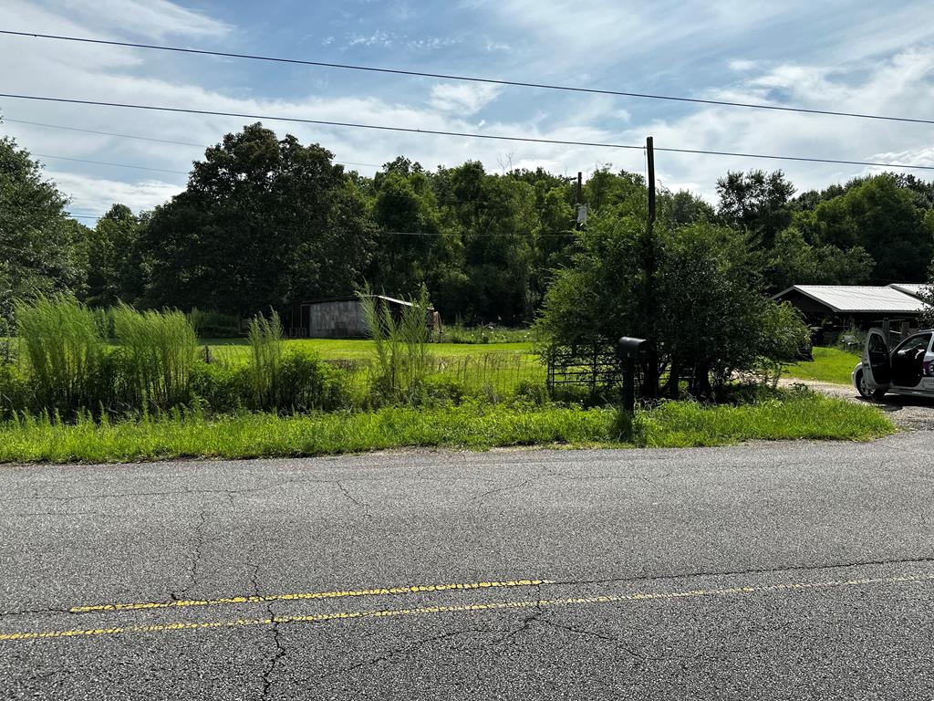 0 Watson Bridge Road Dothan, AL 36303 - Photo 1 of 9