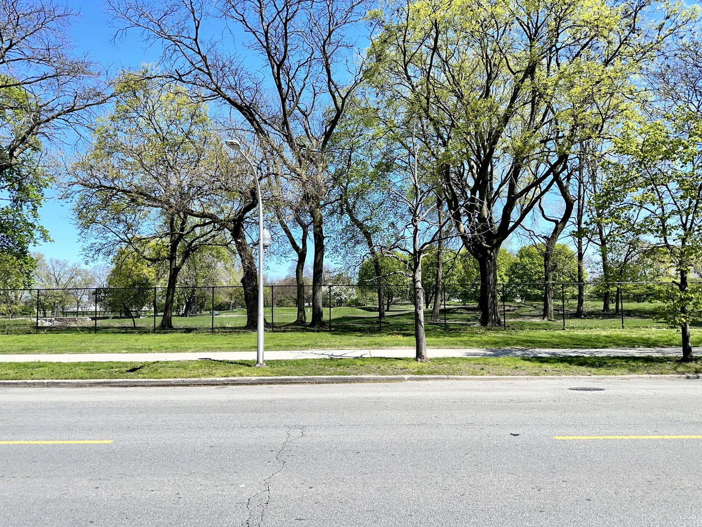 2207 East 67th Street, Unit 2 Chicago, IL 60649 - Photo 13 of 13 a view of a park with large trees