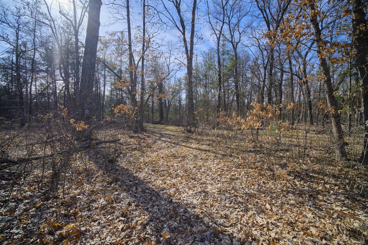 56 North Tippy Dam Road Wellston, MI 49689 - Photo 33 of 40