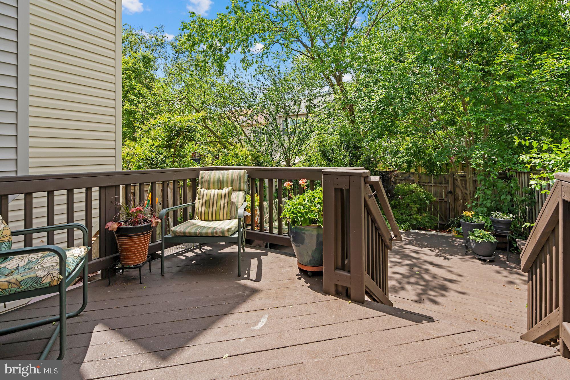 7204 Stover Drive Alexandria, VA 22306 - Photo 23 of 27 Large patio with native plantings
