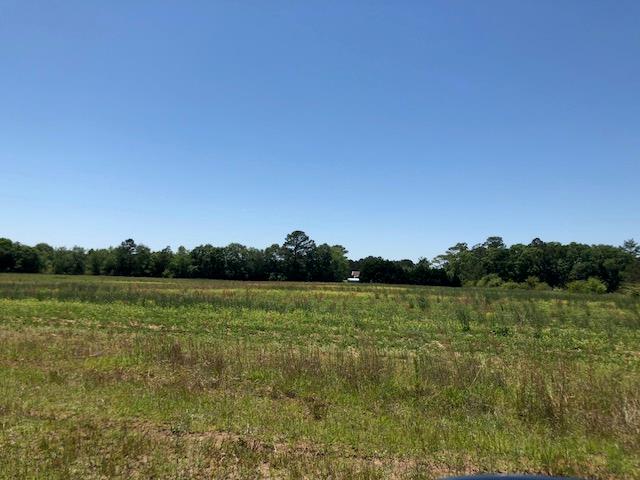 0 Hooper Cherry Road Dothan, AL 36301 - Photo 1 of 1