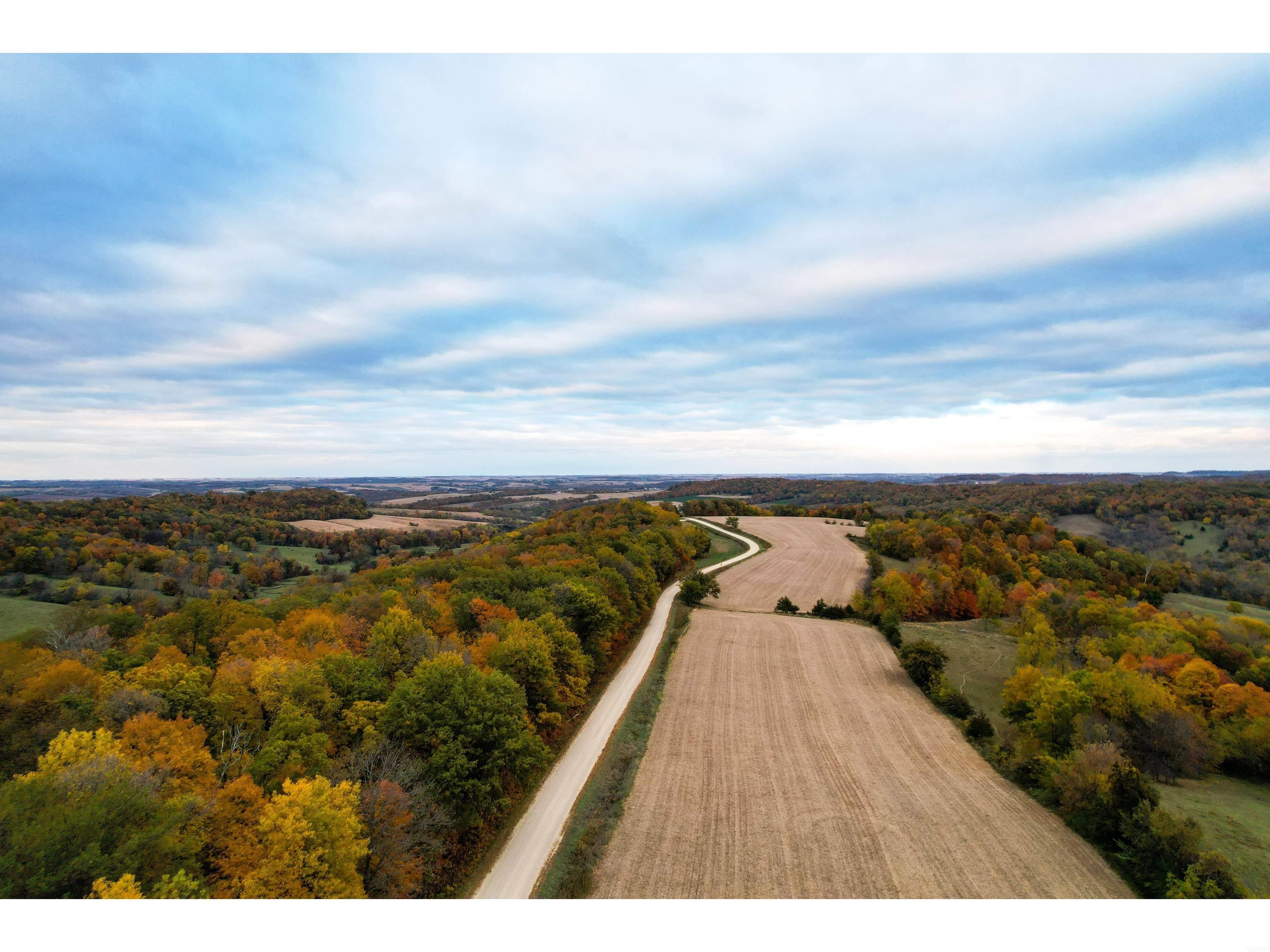 21319 Fantail Road Edgewood, IA 52042 - Photo 5 of 25 Gallery Image 5