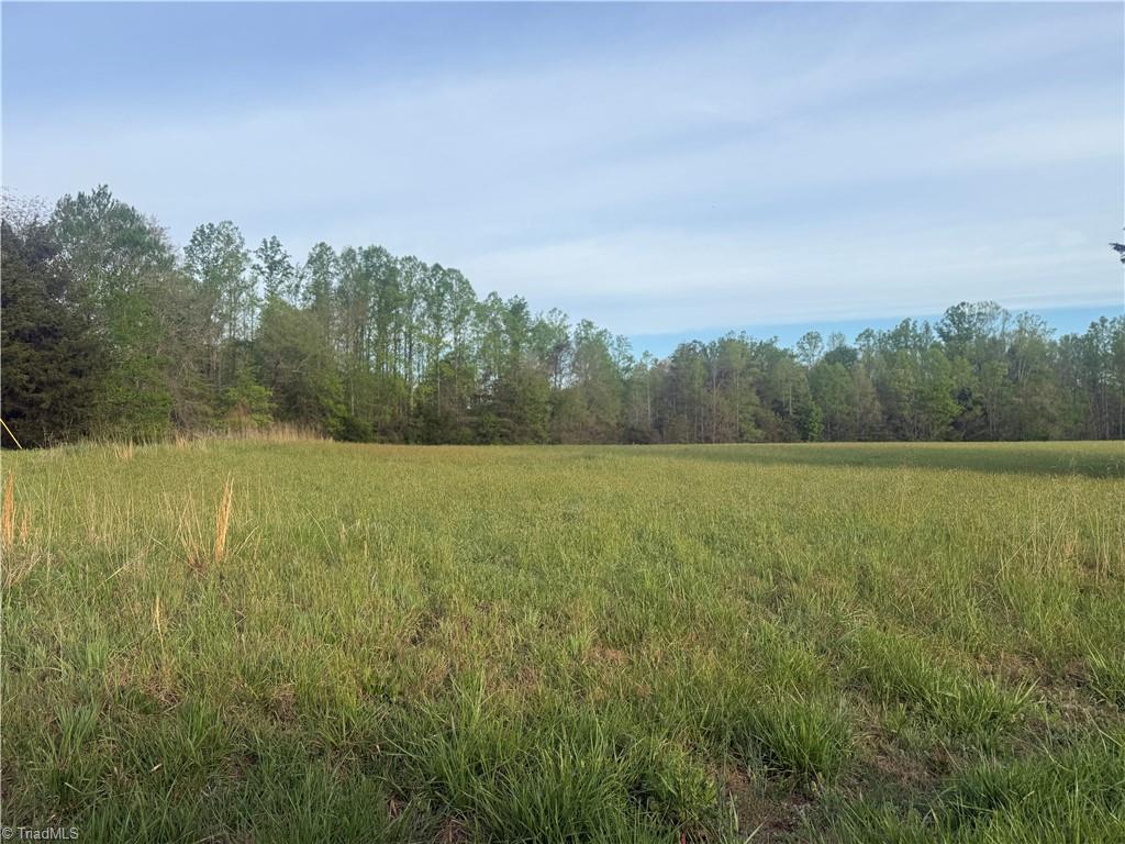 0 Price Road Eden, NC 27288 - Photo 3 of 9
