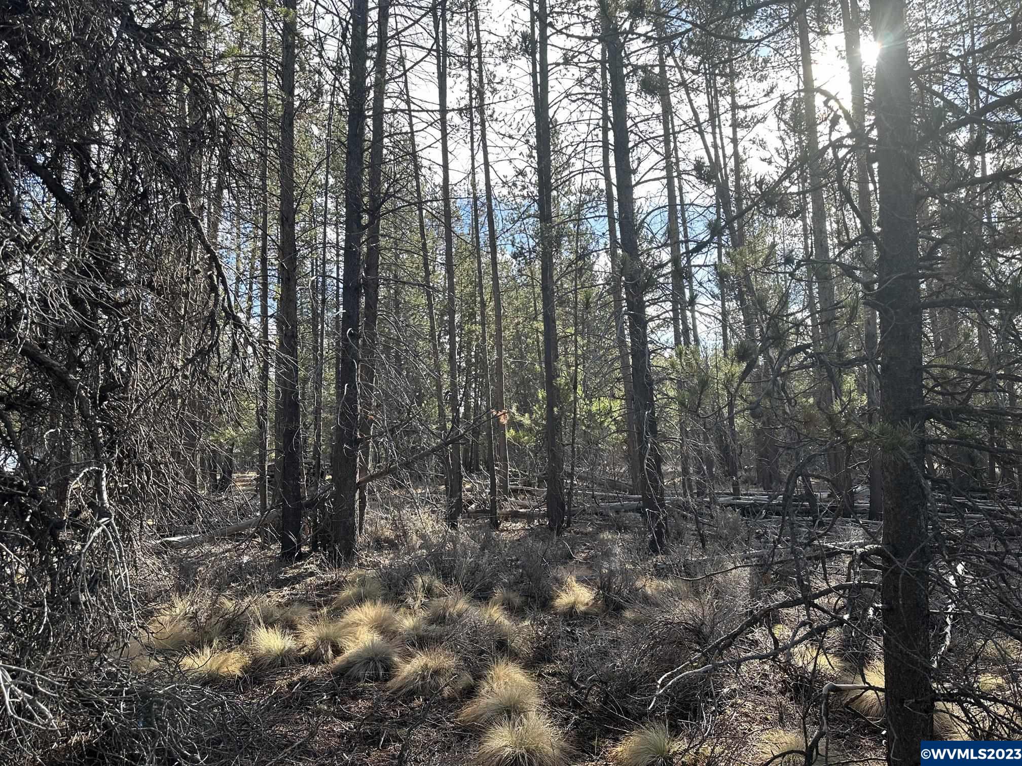 Split Rail Road La Pine, OR 97739 - Photo 8 of 26 Gallery Image 8