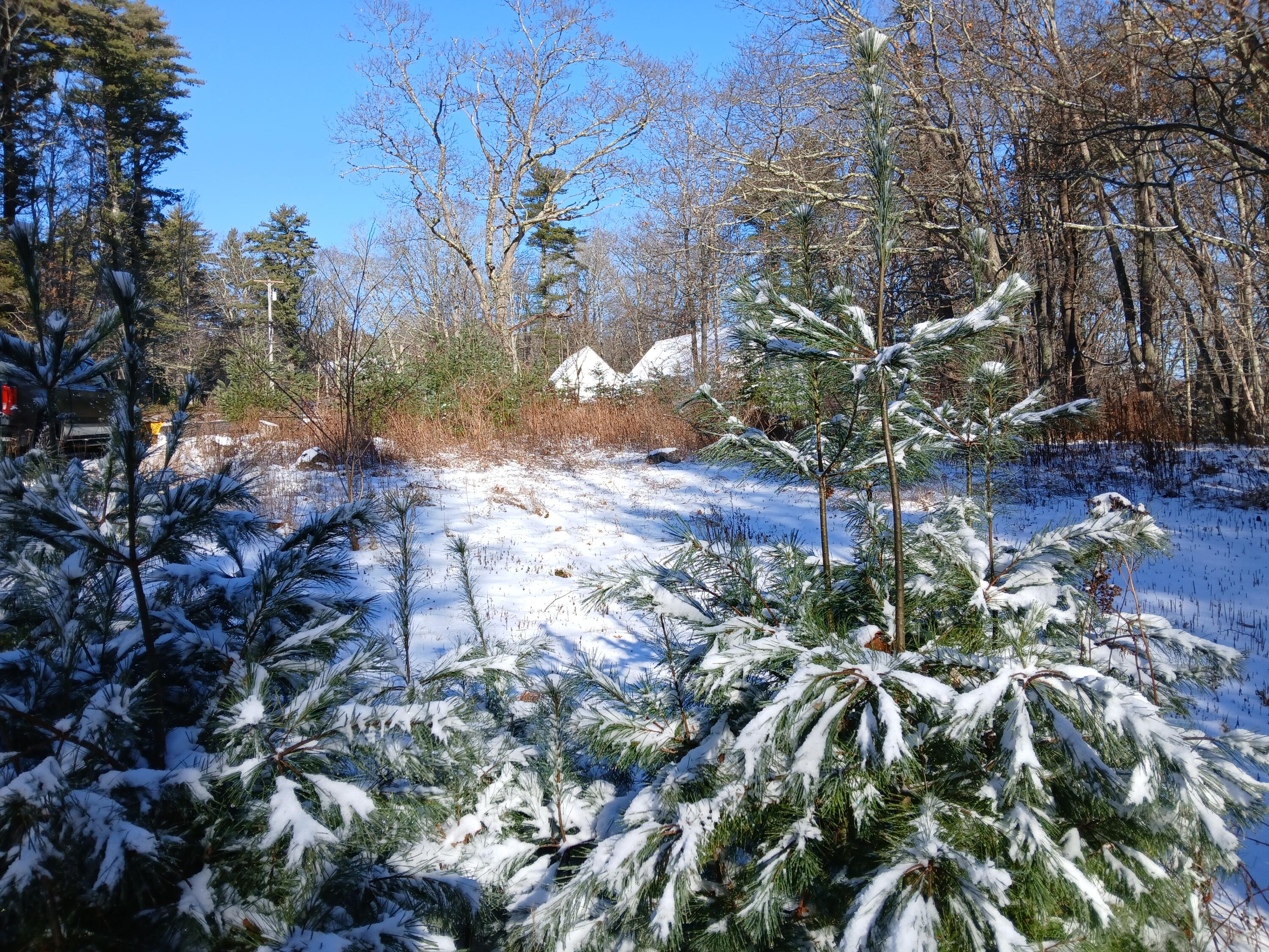 28 Bay Point Road Georgetown, ME 04548 - Photo 12 of 25 20251203_114333