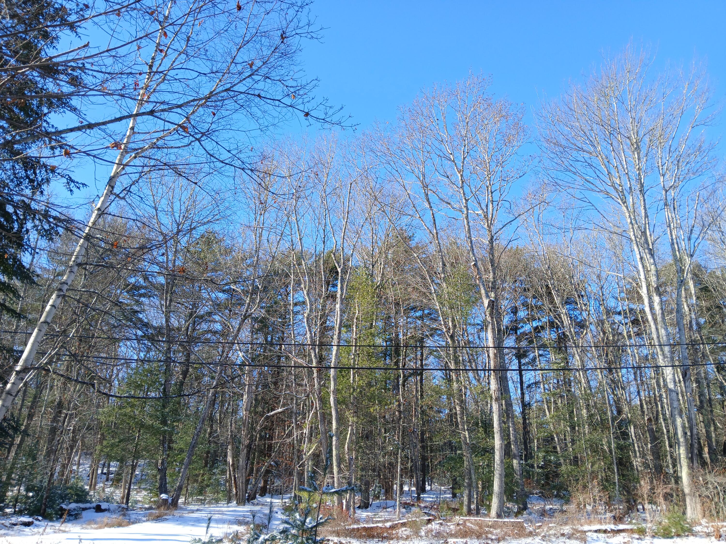 28 Bay Point Road Georgetown, ME 04548 - Photo 6 of 25 20251203_114419