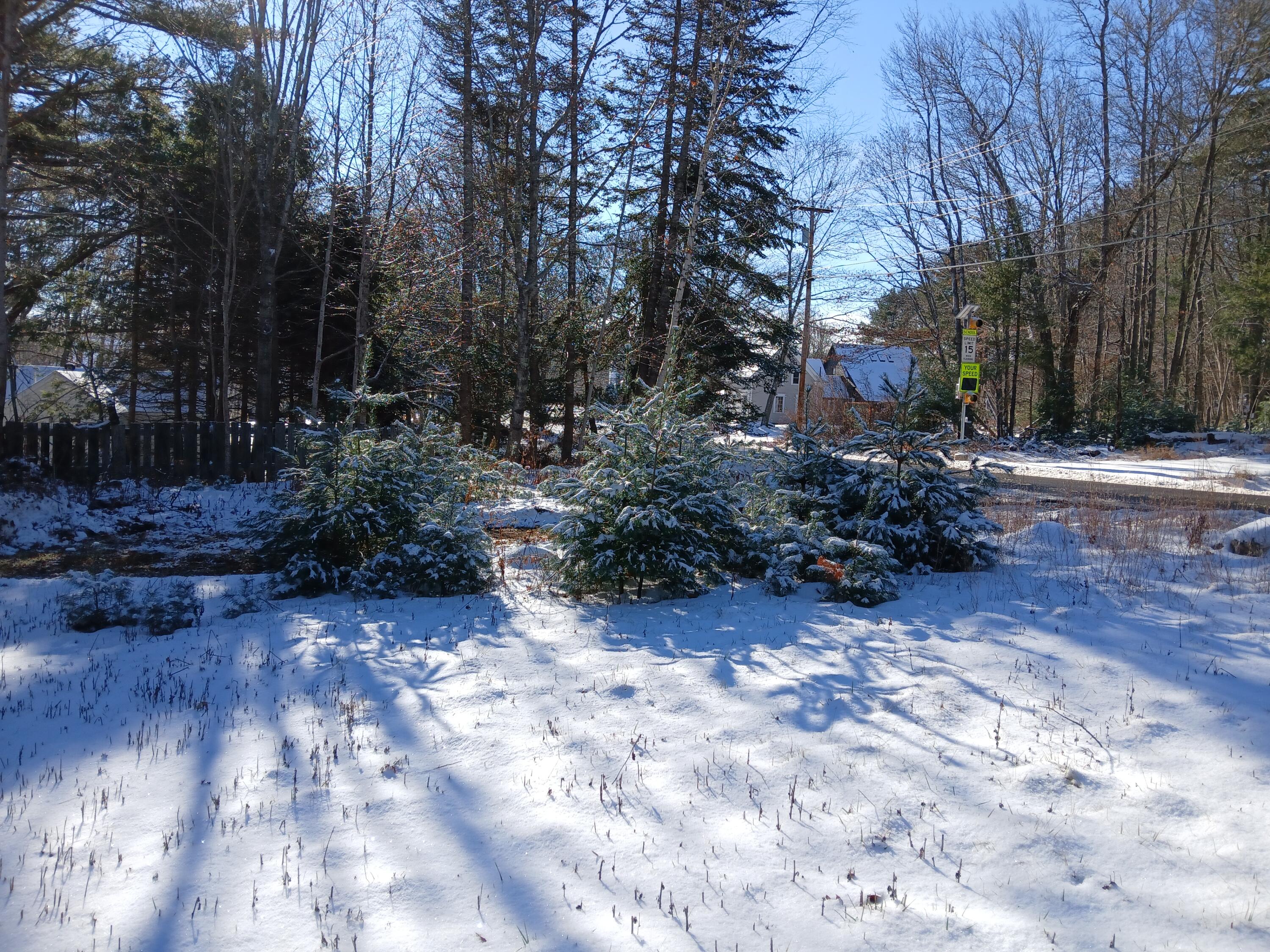 28 Bay Point Road Georgetown, ME 04548 - Photo 9 of 25 20251203_114506