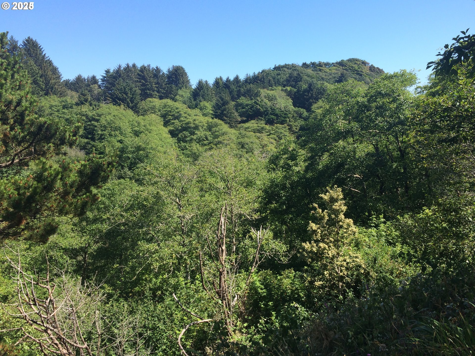 Ridgeway Street Brookings, OR 97415 - Photo 5 of 8