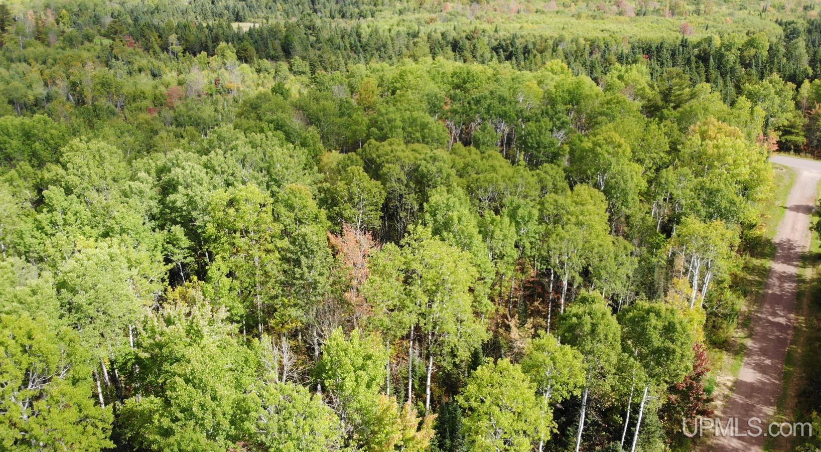 25094 Livingston Road Ewen, MI 49925 - Photo 26 of 35