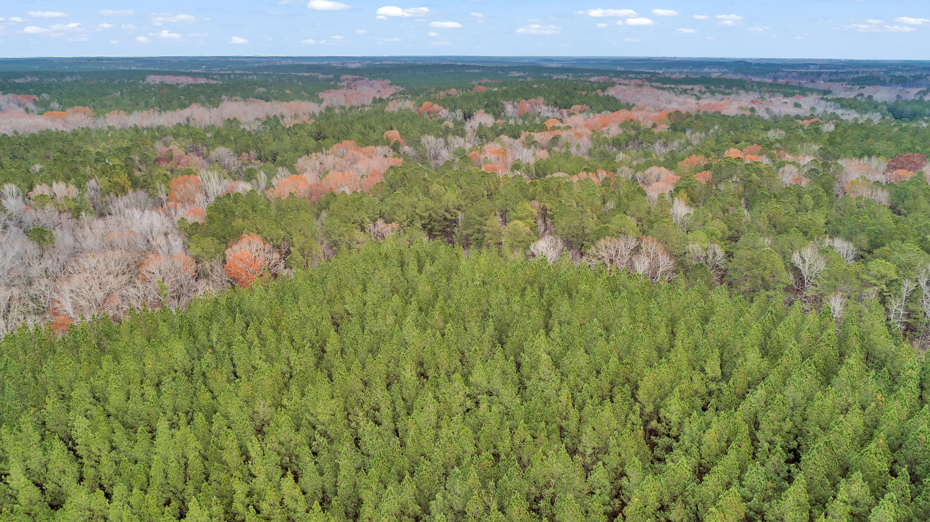 Lot 8 Saggus Road Washington, GA 30673 - Photo 15 of 42 Saggus Rd land 121-007A, 200ft View, Dro