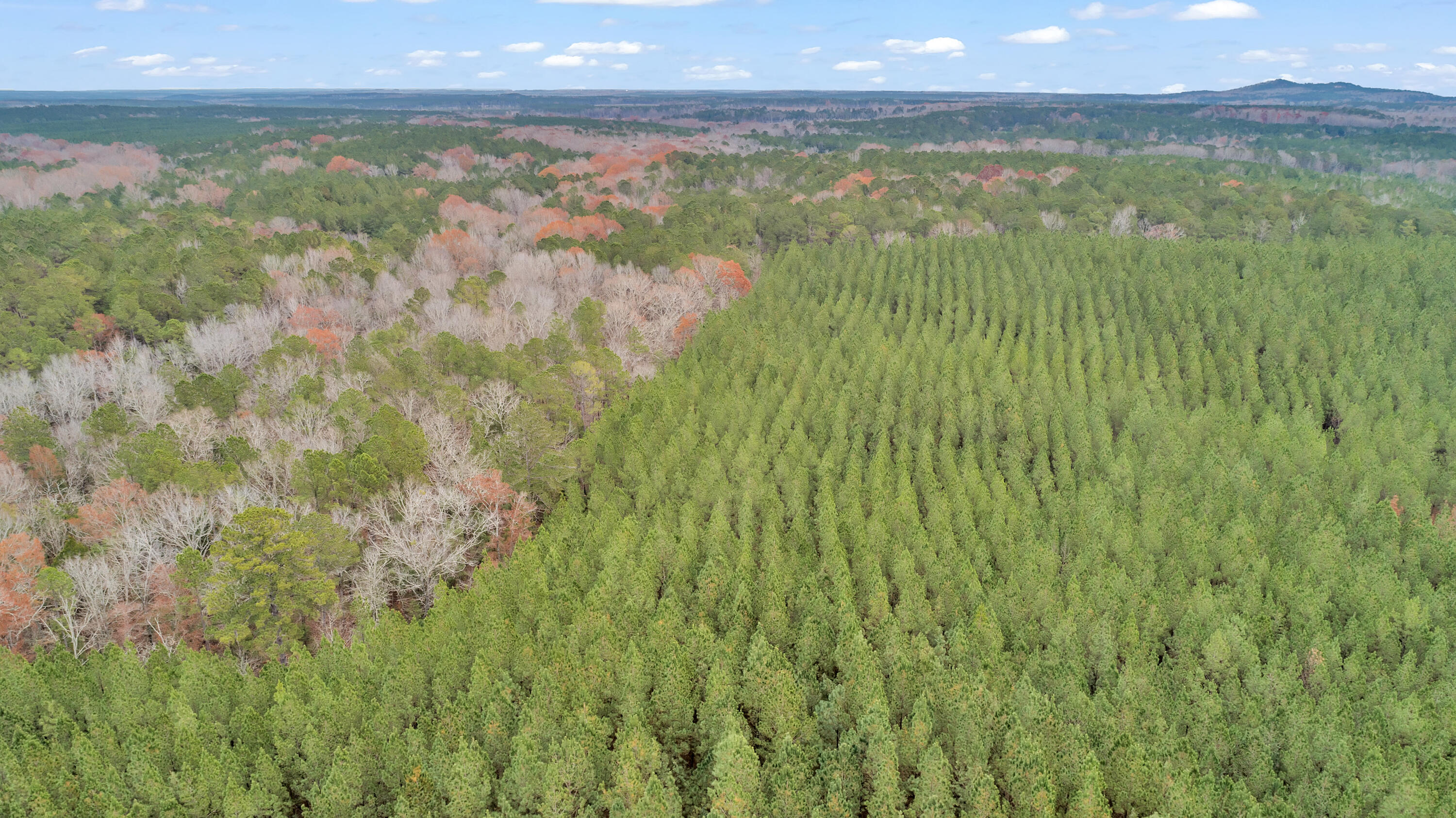 Lot 8 Saggus Road Washington, GA 30673 - Photo 16 of 42 Saggus Rd land 121-007A, 200ft View, Dro