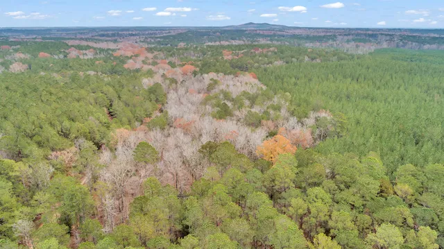 $32,000 | Lot 8 Saggus Road, Washington, GA 30673