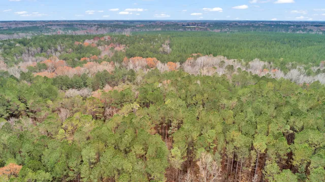 $32,000 | Lot 8 Saggus Road, Washington, GA 30673