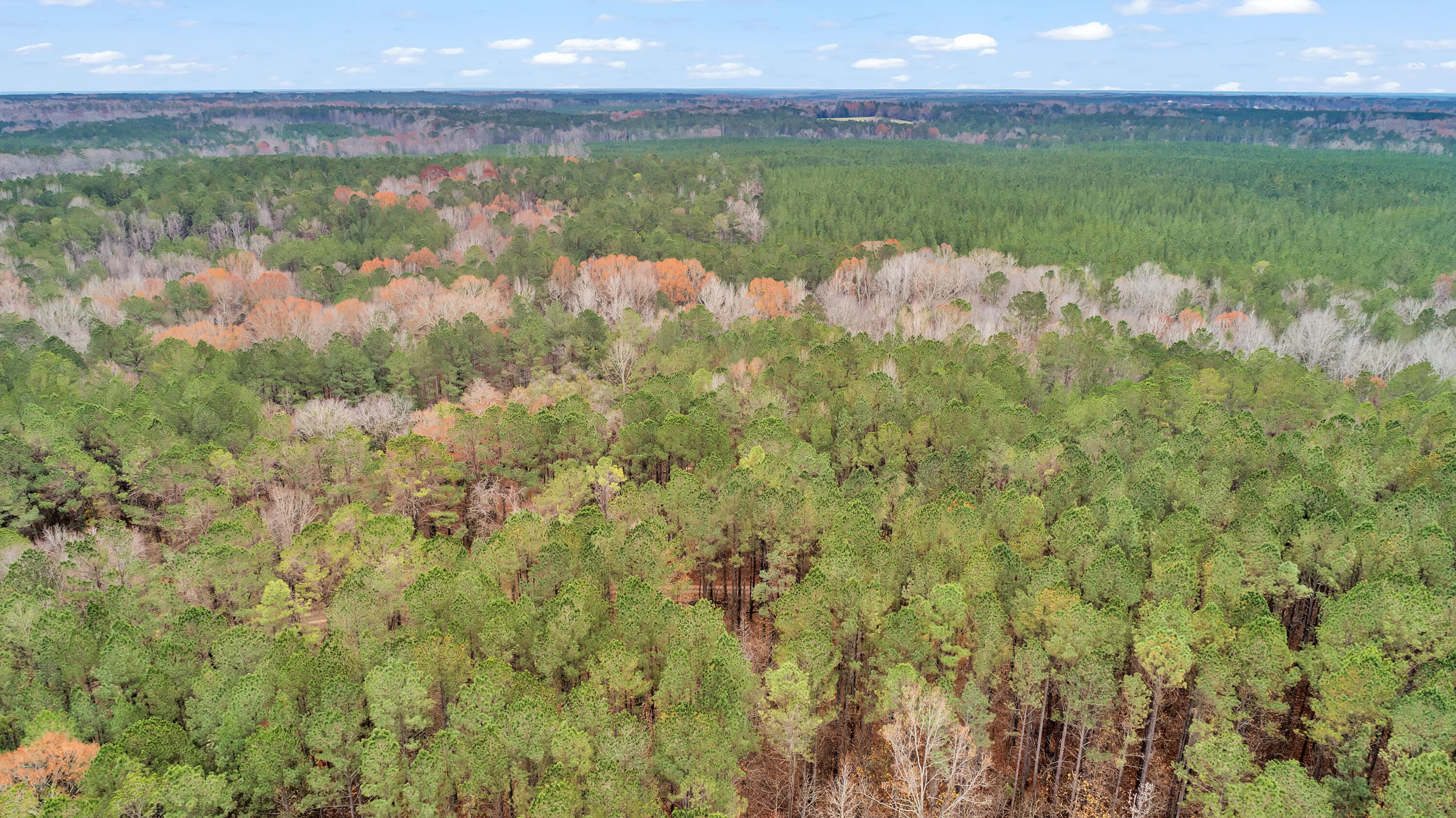 Lot 8 Saggus Road Washington, GA 30673 - Photo 19 of 42 Saggus Rd land 121-007A, 200ft View, Dro