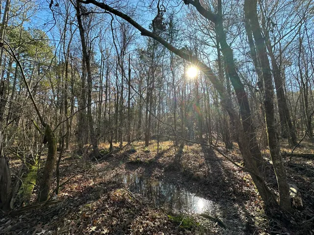 $32,000 | Lot 8 Saggus Road, Washington, GA 30673