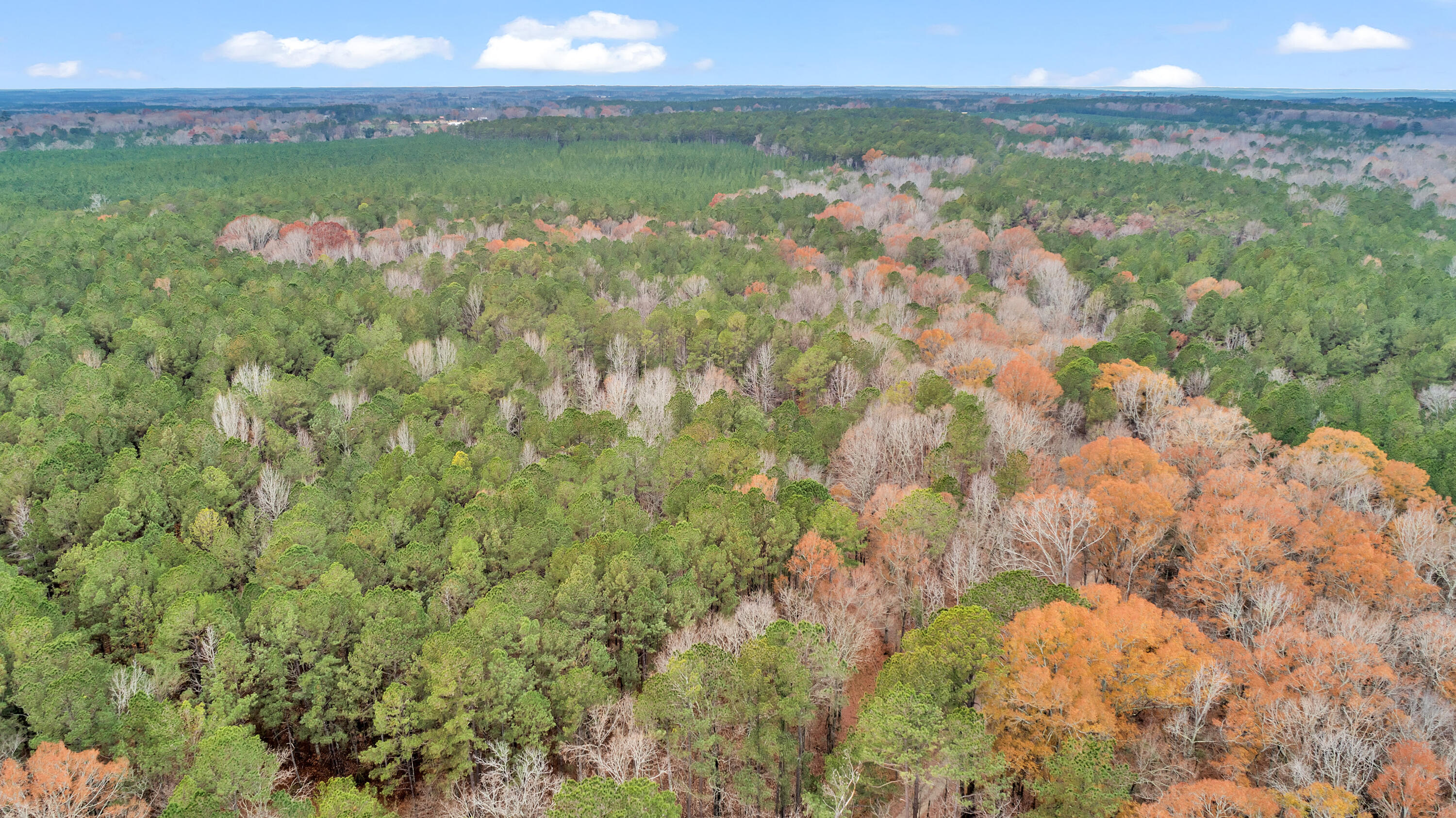 Lot 8 Saggus Road Washington, GA 30673 - Photo 21 of 42 Saggus Rd land 121-007A, 200ft View, Dro