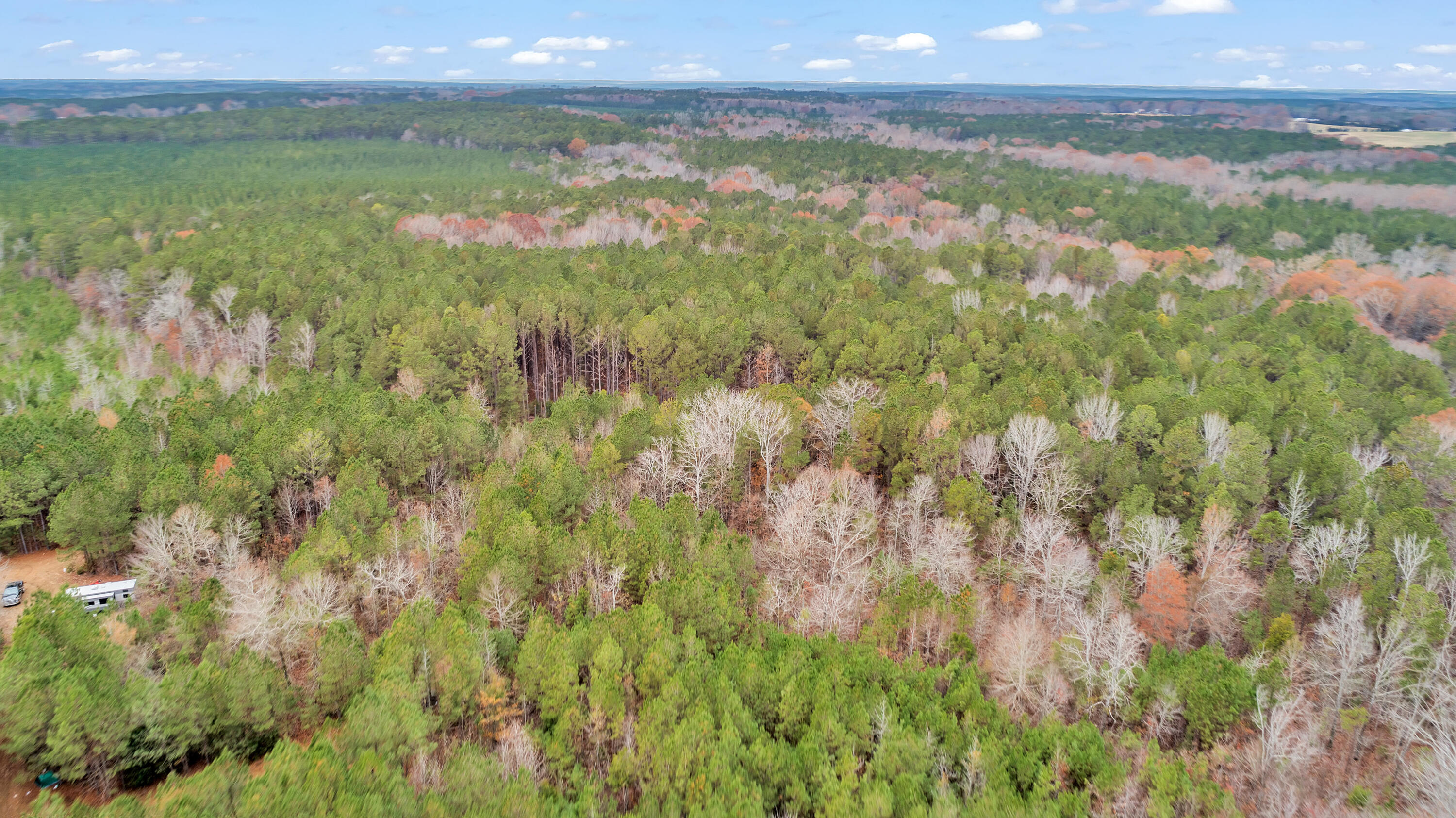 Lot 8 Saggus Road Washington, GA 30673 - Photo 22 of 42 Saggus Rd land 121-007A, 200ft View, Dro