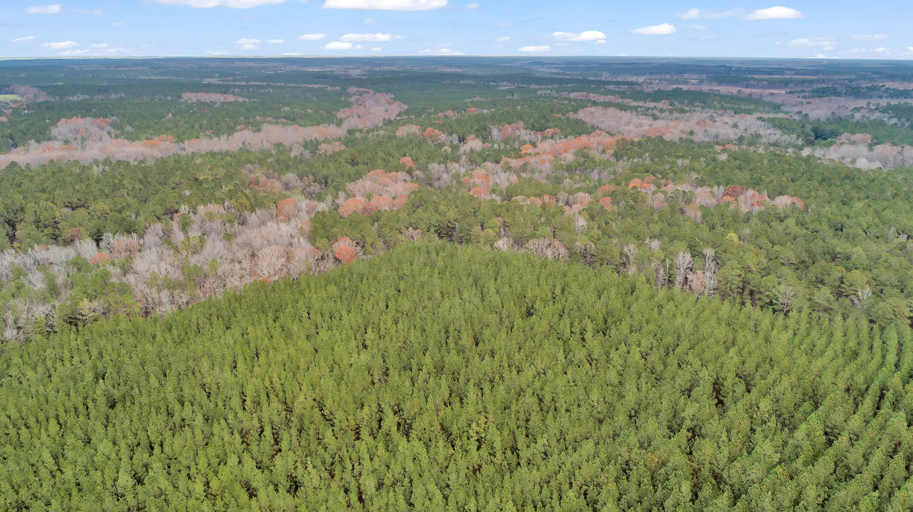 Lot 8 Saggus Road Washington, GA 30673 - Photo 24 of 42 Saggus Rd land 121-007A, 400ft View, Dro