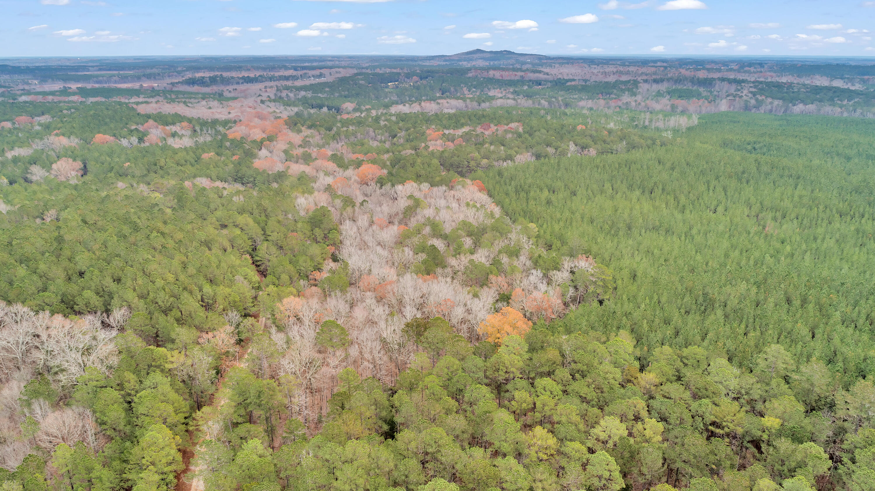 Lot 8 Saggus Road Washington, GA 30673 - Photo 26 of 42 Saggus Rd land 121-007A, 400ft View, Dro
