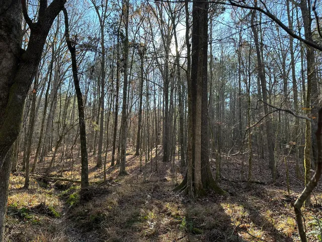 $32,000 | Lot 8 Saggus Road, Washington, GA 30673
