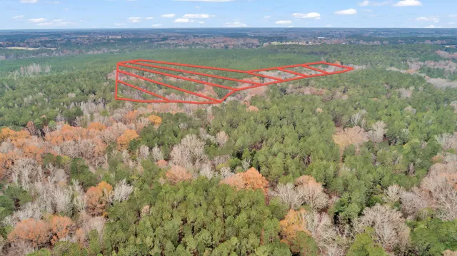 $32,000 | Lot 8 Saggus Road, Washington, GA 30673