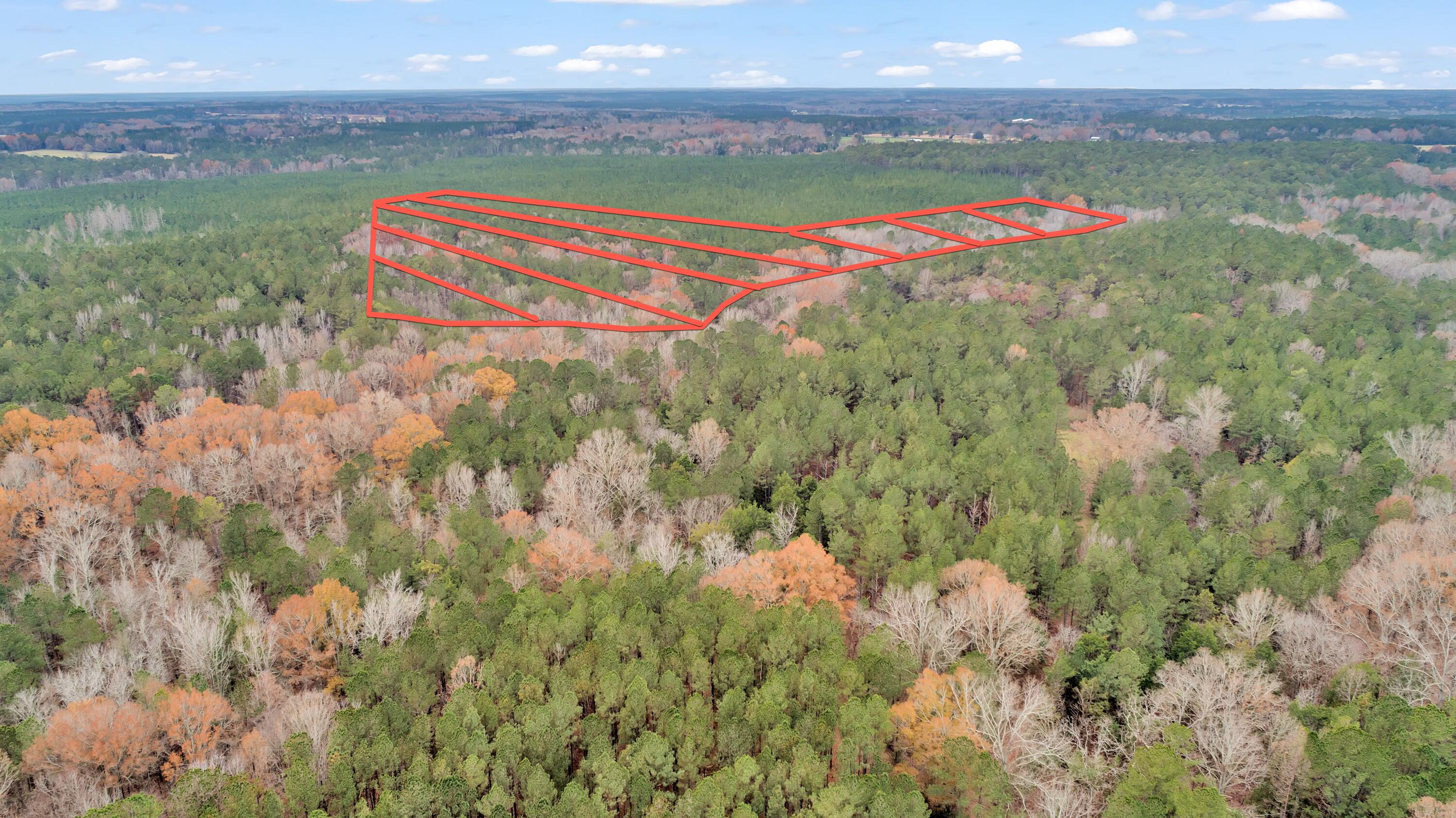 Lot 8 Saggus Road Washington, GA 30673 - Photo 37 of 42 Saggus Rd land 121-007A, 400ft View, Dro