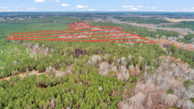 $32,000 | Lot 8 Saggus Road, Washington, GA 30673