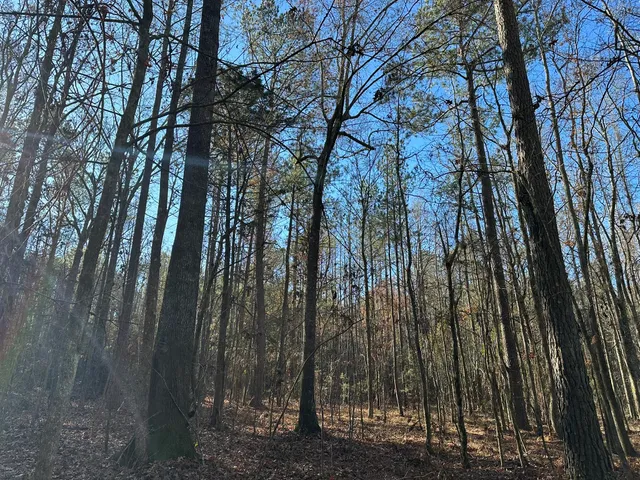 $32,000 | Lot 8 Saggus Road, Washington, GA 30673