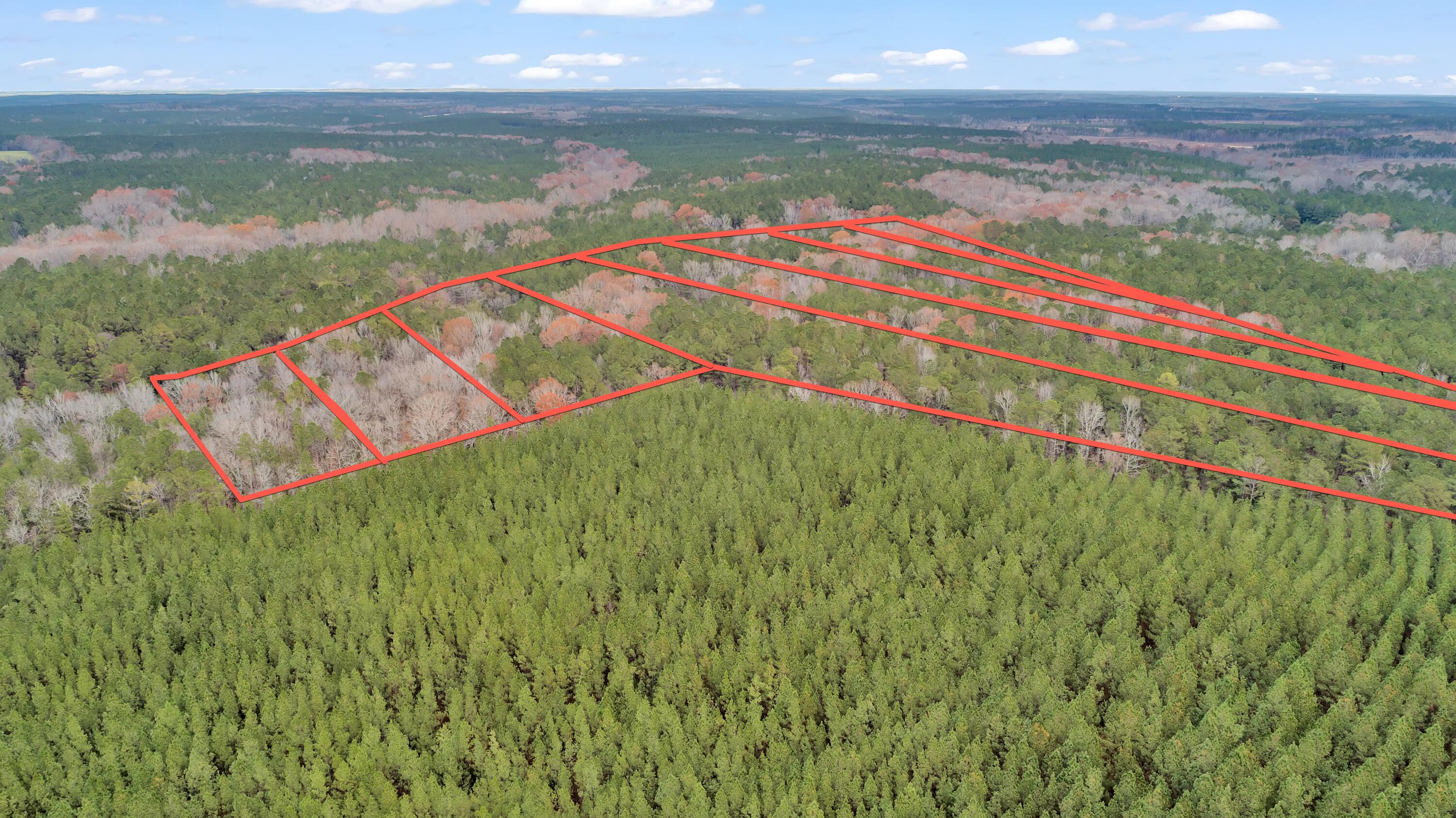 Lot 8 Saggus Road Washington, GA 30673 - Photo 41 of 42 Saggus Rd land 121-007A, 400ft View, Dro