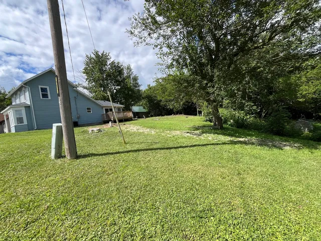 a view of a garden with large trees
