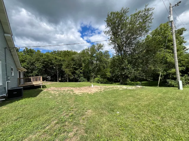 a view of a yard with a tree