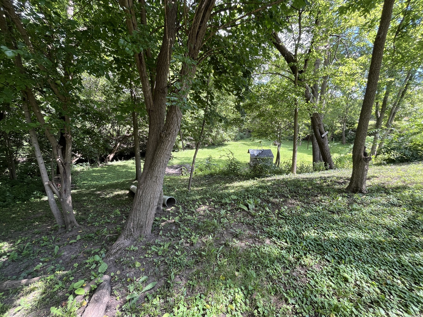 2625 North 3653rd Road Sheridan, IL 60551 - Photo 24 of 25 a view of a yard with a tree