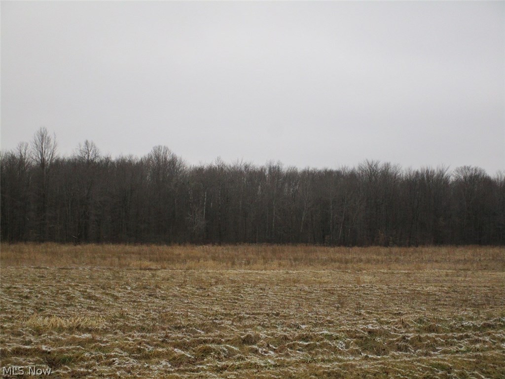5462 Slater Road Williamsfield, OH 44093 - Photo 20 of 20 Gallery Image 20