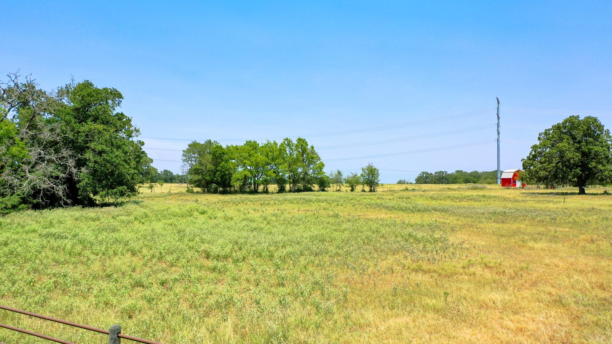 a view of a yard with an trees