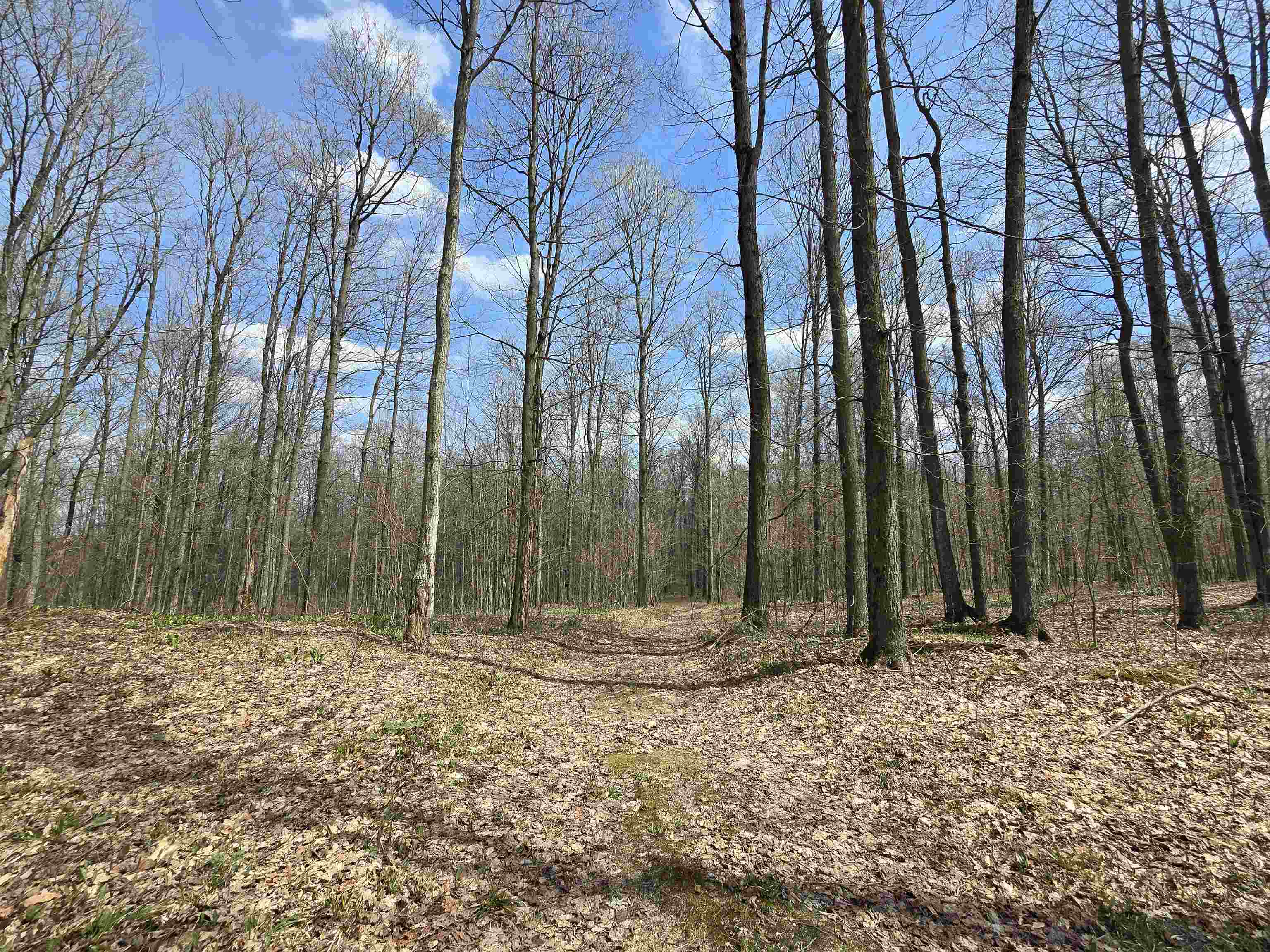 0 West 20 Road Mesick, MI 49668 - Photo 7 of 11