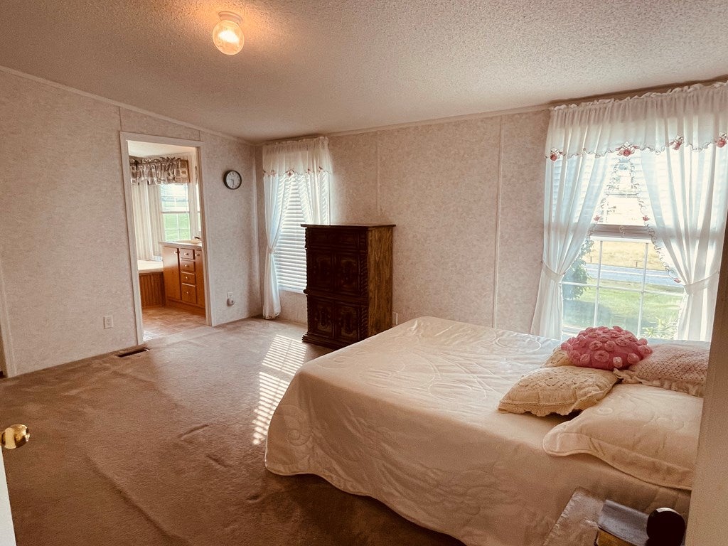 2158 Cedar Springs Road Rural Retreat, VA 24368 - Photo 28 of 55 Gallery Image 28