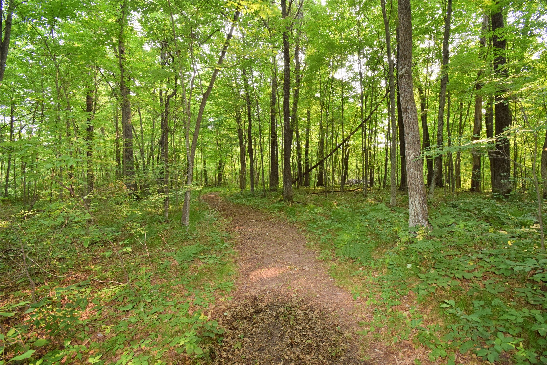 25707 Smith Road Webster, WI 54893 - Photo 49 of 58 Gallery Image 49