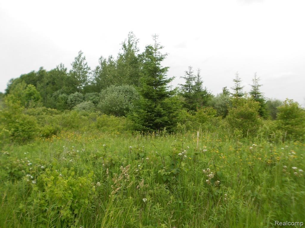 7364 Metcalf Road Jeddo, MI 48032 - Photo 6 of 7 2014-06-16 18.28