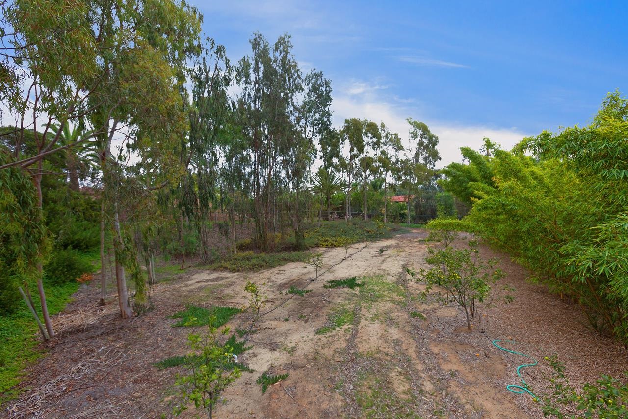 5021 Linea Del Cielo Rancho Santa Fe, CA 92067 - Photo 8 of 25 Gallery Image 8