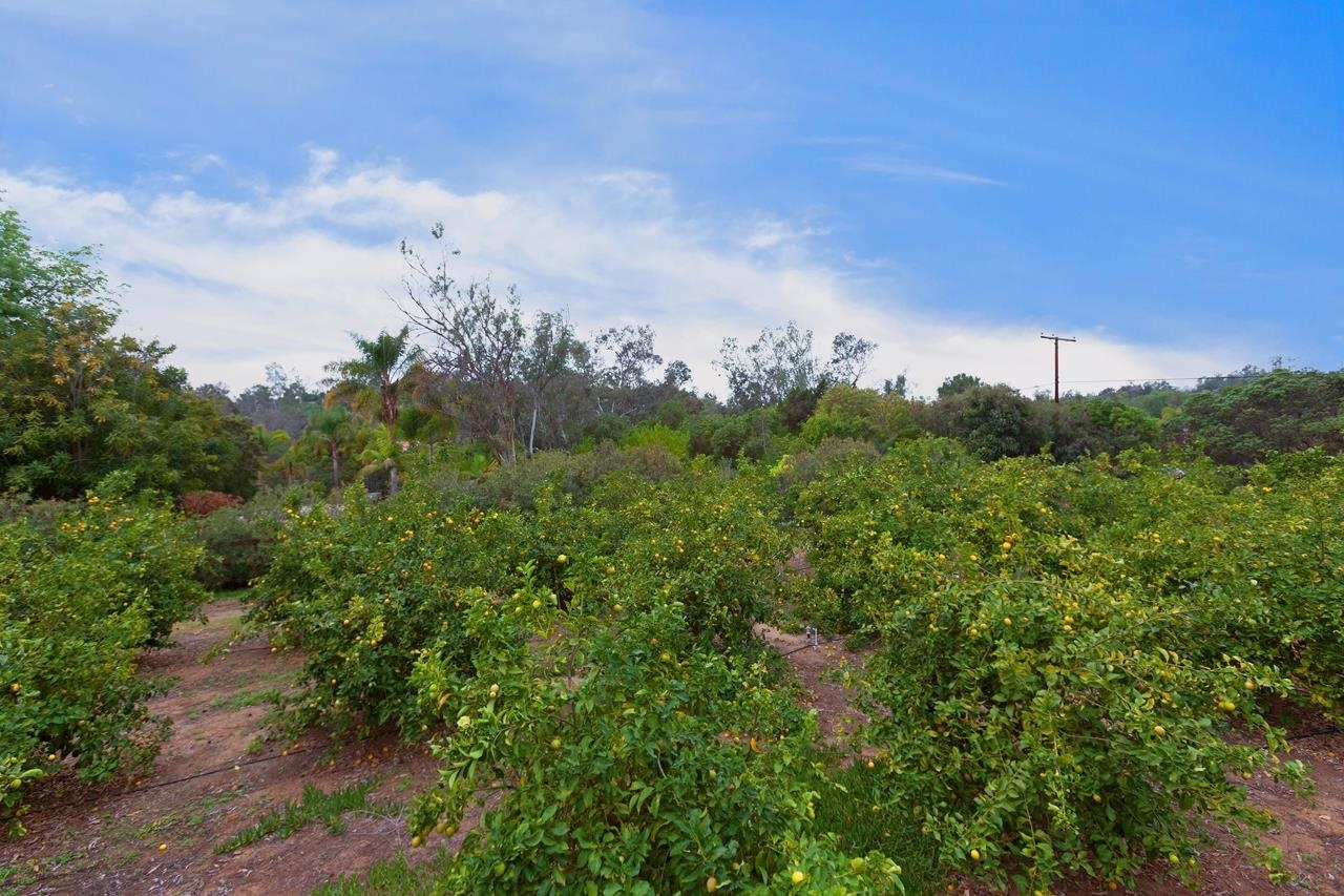 5021 Linea Del Cielo Rancho Santa Fe, CA 92067 - Photo 10 of 25 Gallery Image 10